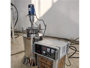 0.5L高溫高壓不銹鋼電加熱反應釜已完工發(fā)往捷克