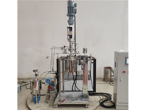 1.5L不銹鋼油浴電加熱實驗釜已完工發(fā)往馬來西亞